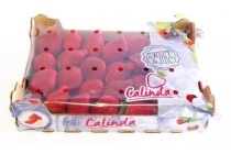 calinda aardbeien