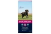 eukanuba adult large kip 12 kg