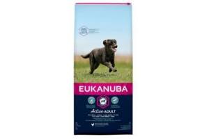eukanuba adult large kip 12 kg