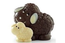 schaap met lam