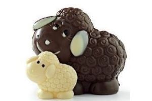 schaap met lam