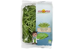 rucola mioorto