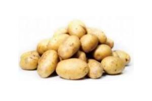 hollandse aardappelen kruimig