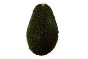 avocado hass