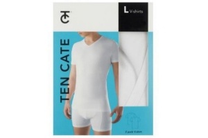 ten cate heren shirt v hals 2 pack wit