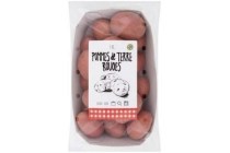 pommes de terre rouges