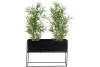 lomvi plantenbak