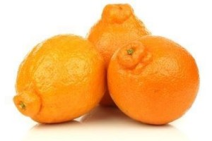 minneola s per kilo