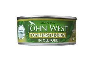 tonijnstukken in olijfolie