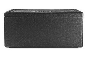 tfcc thermobox 1 1 gn 40 liter