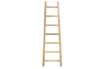 ladder finn
