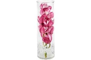 cymbidium in glas cognac of cilinderglas