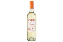 fiano 0 75 liter