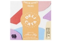 delicata chocolate sparkling happiness mix