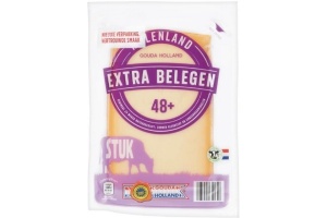 molenland goudse kaas extra belegen 48