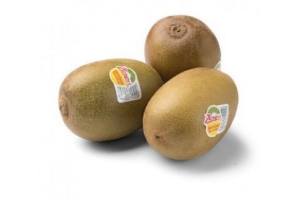 zespri kiwi gold