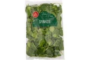 hollandse 1 de beste gewassen spinazie 300 gram