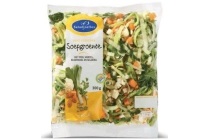 saladinettes soepgroenten