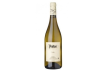 protos verdejo rueda wijn