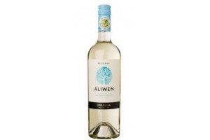 aliwen sauvignon blanc