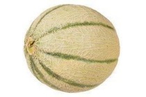 cantaloupe meloen