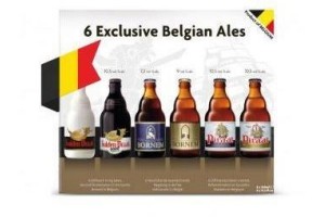 vlaams bierpakket 6 x 0 33 l