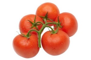 hollandse trostomaten