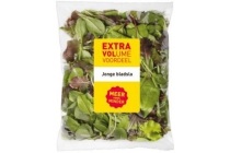 jonge bladsla aldi