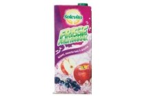 solevita frisse fruitdrank