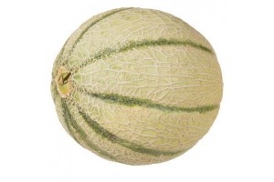 cantaloupe meloen