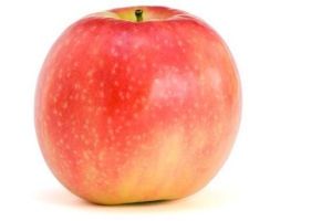 cripps pink handappels