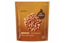 g woon dry roasted pinda s