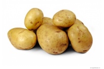 grove aardappelen