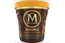 magnum double salted caramel pint