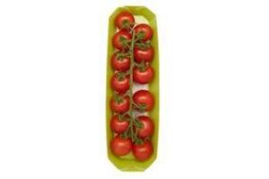 zoete tros cherrytomaten 400 gram