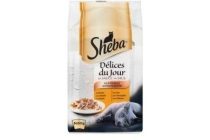 sheba delices du jour gevogelte in saus 6x50g