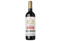 la tulipe bordeaux superieur