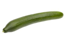 hollandse komkommer