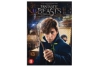 fantastic beasts and where to find them dvd