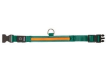 led hondenhalsband groen oranje