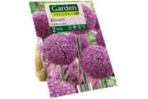 allium sieruibollen ambassador