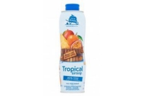 van de boom siroop tropical