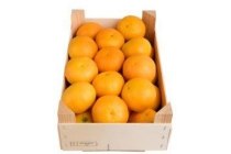 spaanse mandarijnen