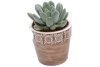 mini succulent in pot tegeltjes bruin