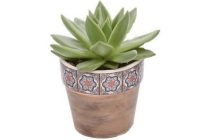 mini succulent in pot tegeltjes wit