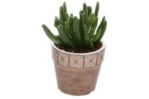 mini succulent in pot tegeltjes beige