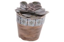 mini succulent in pot tegeltjes blauw