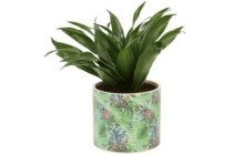 luxe plant in amazone pot groen