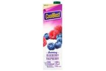coolbest bubbling blueberry raspberry