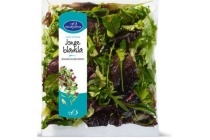 saladinettes jonge bladsla